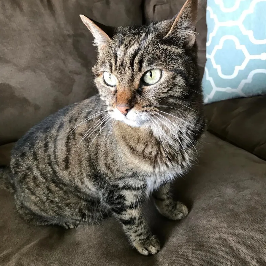 Abby