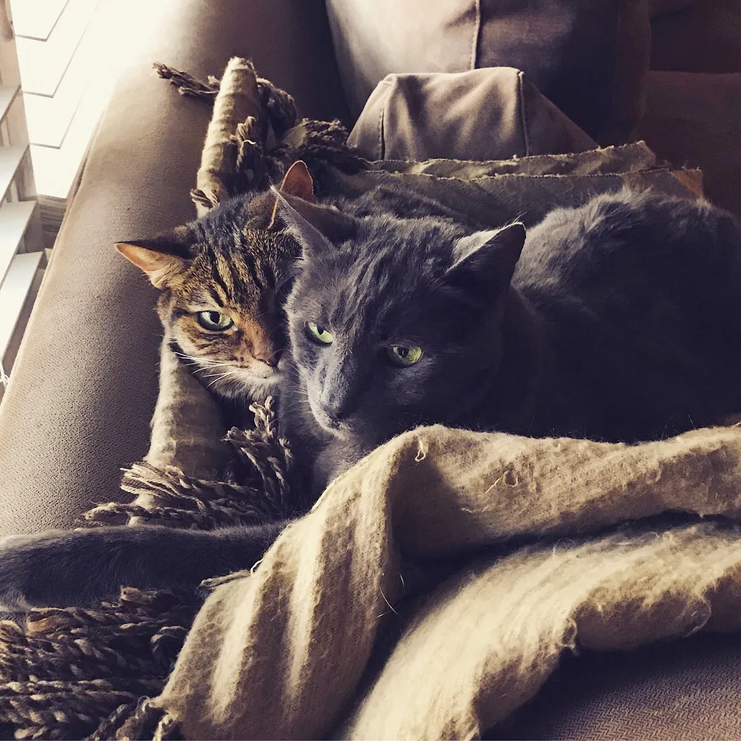 Louie & Abby